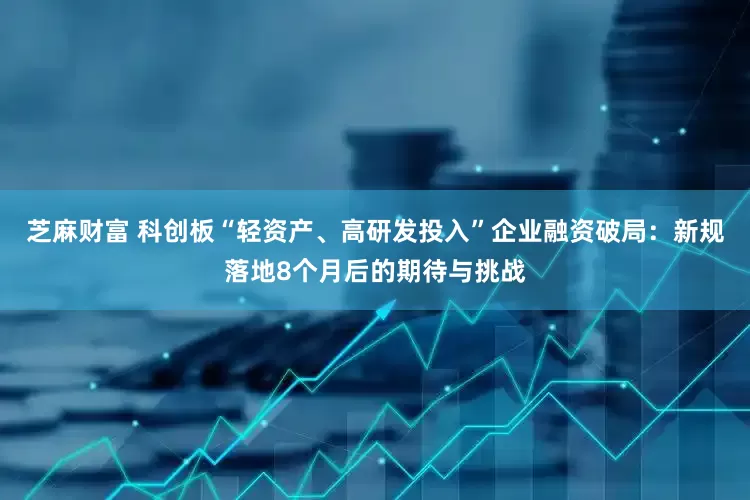 芝麻财富 科创板“轻资产、高研发投入”企业融资破局：新规落地8个月后的期待与挑战