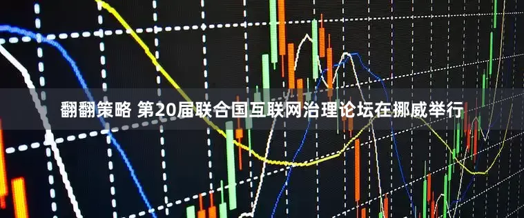 翻翻策略 第20届联合国互联网治理论坛在挪威举行
