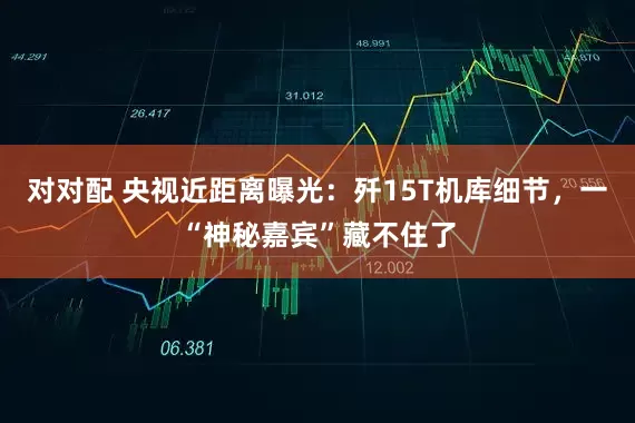 对对配 央视近距离曝光：歼15T机库细节，一“神秘嘉宾”藏不住了