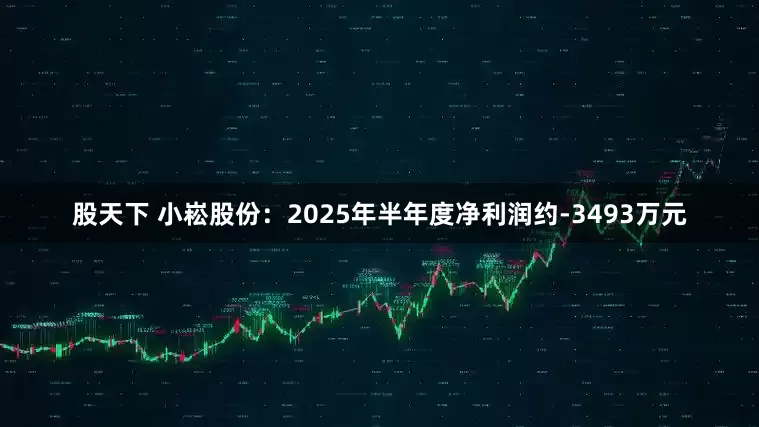 股天下 小崧股份：2025年半年度净利润约-3493万元