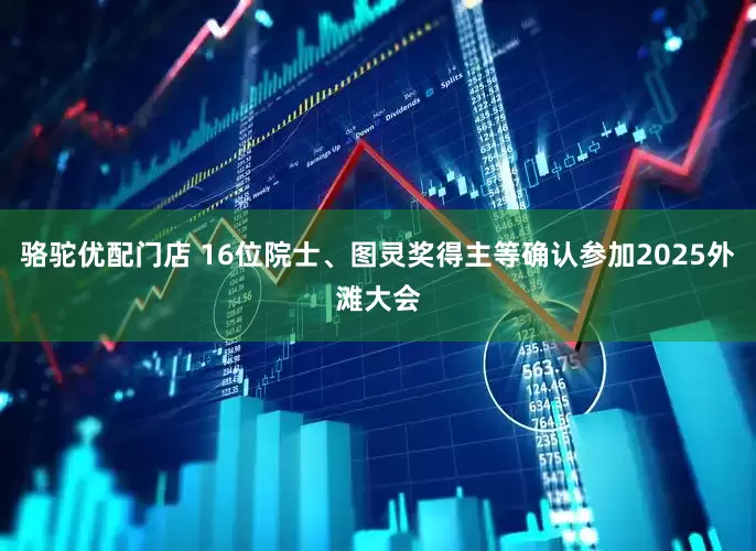 骆驼优配门店 16位院士、图灵奖得主等确认参加2025外滩大会